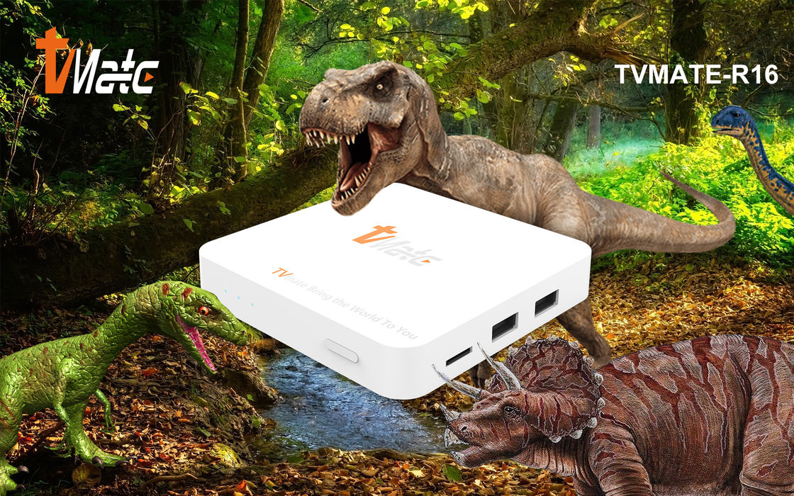OTT Android TV Box Rockchip 322X Quad-Core Cortex-A7 Up To 1.5GHz Smart TV Box Android